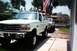 1993 Ford Ranger - White Ford Bronco and a pickup truck parked in a driveway on a sunny day.