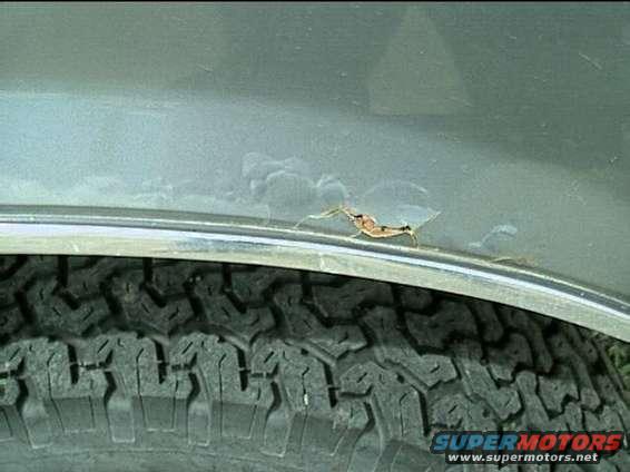 Close-up of rust forming on a vehicle's fender above a tire