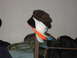 grant-hats.jpg