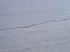 1995 Mercury Grand Marquis - Tire tracks are visible in a snow-covered field, with a crack running through the snow.