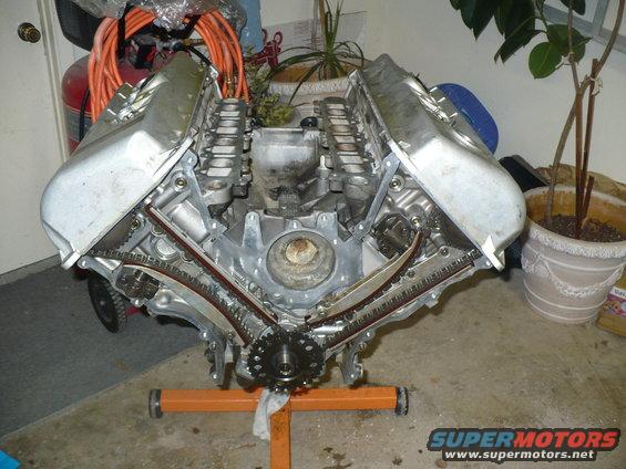 p1020626.jpg Timing Chains on, valve covers on.