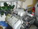 1996 Ford Mustang photo