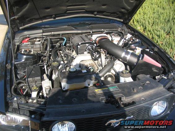 Black engine bay with a prominent supercharger, aftermarket intake, and a Mustang emblem on the grille