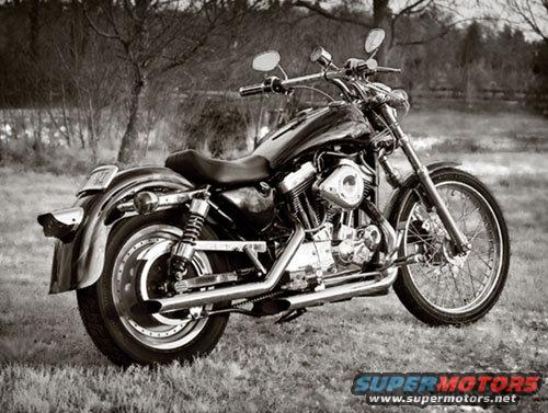 hdfsig500pic.jpg Black Tank