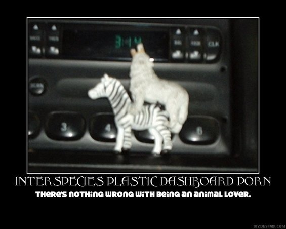 Plastic zebra and wolf figurines on a car's dashboard radio controls