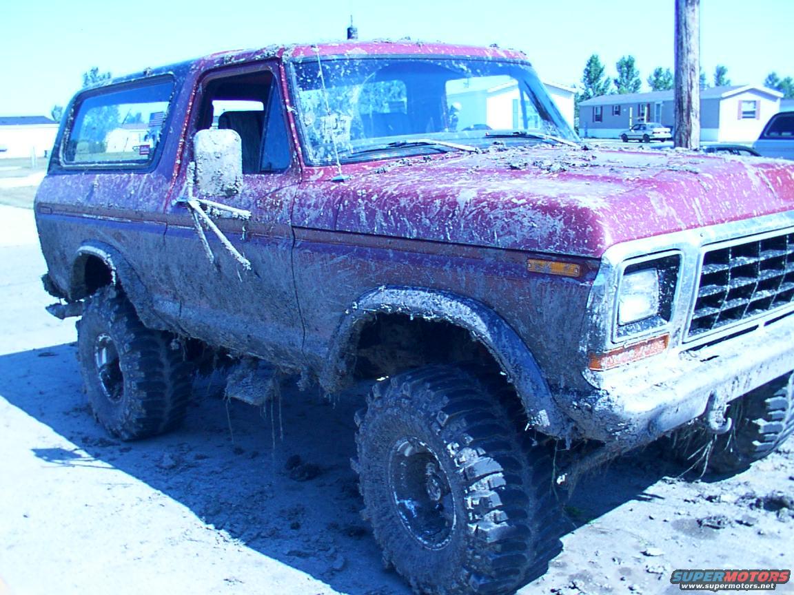 1979 Ford Bronco photo