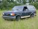 1990 Ford Bronco - A dark blue Ford Bronco with tan trim sits in a grassy field with trees in the background.