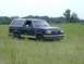 1990 Ford Bronco - A dark blue 1990 Ford Bronco with tan trim is parked in a field of tall grass under an overcast sky.