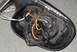 1999 Ford Crown Victoria - Wires to Mirror Motor