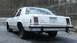 1985 Ford Crown Victoria LTD - Rear view of a white 1985 Ford Crown Victoria LTD, steel wheels and a Virginia license plate.