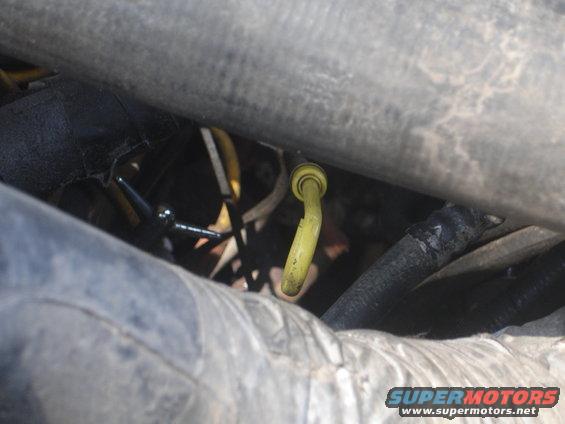 Engine bay detail with yellow dipstick and black hose