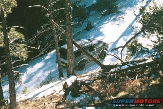 Gray 1980 Ford Bronco driving on a snowy slope, partially obscured by trees
