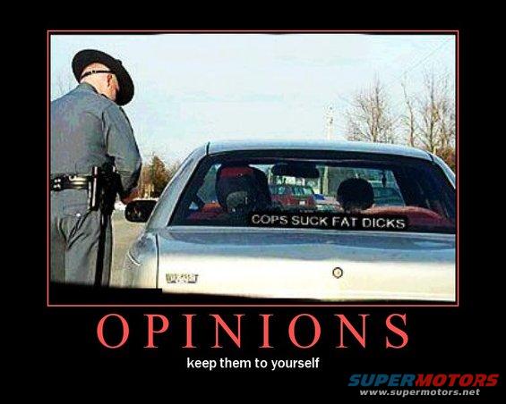 mot_opinions.jpg 