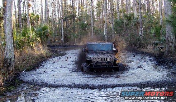 2004 Jeep TJ driving through a muddy trail with trees and palm fronds in the background