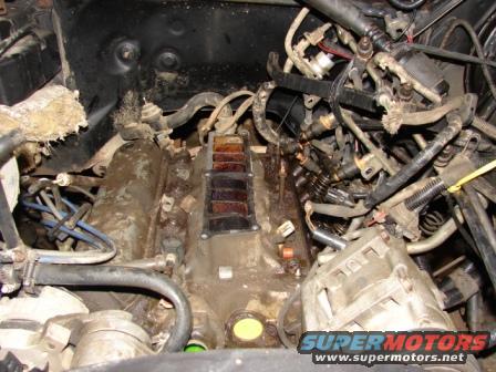 dsc00885.jpg disgustingly dirty