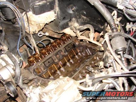 Engine bay with exposed valve covers and wiring