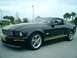 2006 Ford Mustang - This black 2006 Ford Mustang Shelby GT-H features distinctive gold racing stripes and badging.