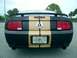 2006 Ford Mustang - This black and gold Mustang features racing stripes and a prominent Shelby emblem on the rear.