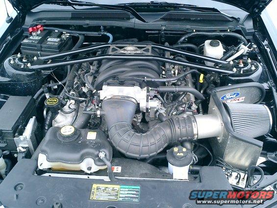 Ford Mustang engine bay with aftermarket air intake. Shows V8 engine, battery, and fluid reservoirs