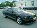 2006 Ford Mustang - here I am getting ready to take it for a spin
