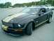 2006 Ford Mustang - Black Ford Mustang coupe with gold racing stripes and "Shelby GT-H" badging on the side.
