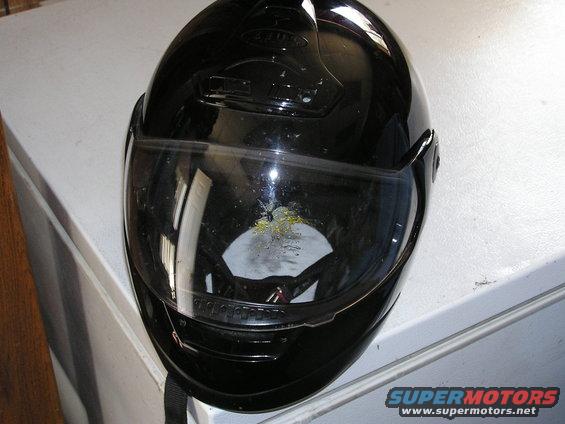 helmet-bug.jpg 1 good reason to wear a Full Face Helmet...
