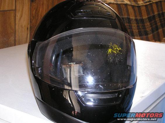 helmet-bug-2.jpg Good reason to wear a full face helmet, instead of... oh say, just sunglasses?