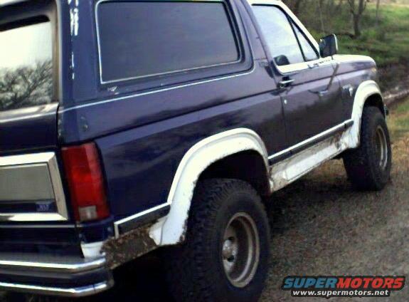 1981 Ford Bronco photo
