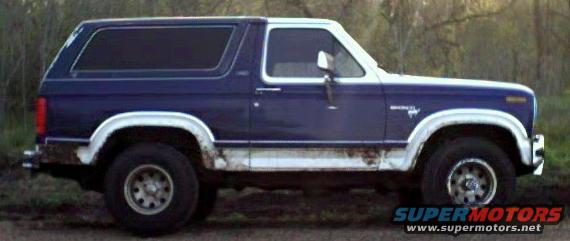 1981 Ford Bronco photo