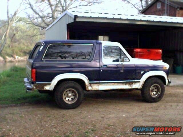 1981 Ford Bronco photo