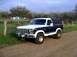 1981 Ford Bronco - Beauty shot