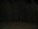 1978 Ford Bronco - A dark scene of a bamboo grove at night, with dense foliage and a grassy foreground.