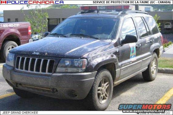 Dark SUV with light bar, Jeep badging, and side decal