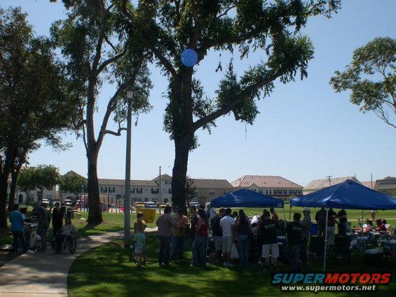 People gathered under tents in a park with trees and buildings in the background