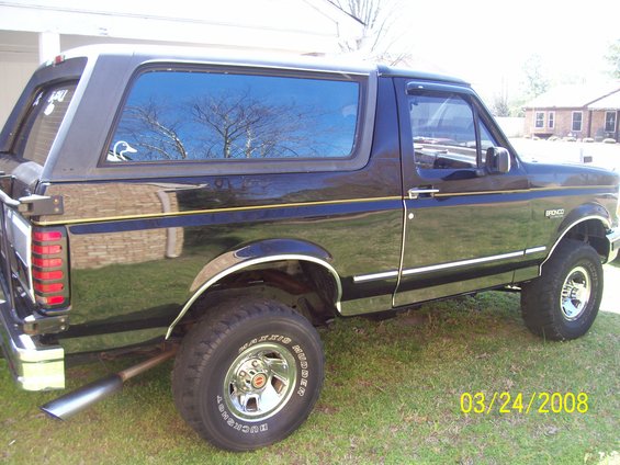 Black Ford Bronco with gold pinstriping parked on grass, showing side and rear quarter panel