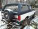 1988 Ford Bronco - This Ford Bronco is equipped with a spare tire cover the iconic Bronco horse logo.