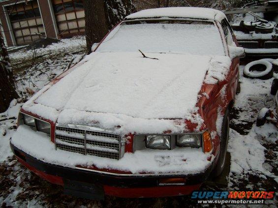 Not a great picture because of the snow.
