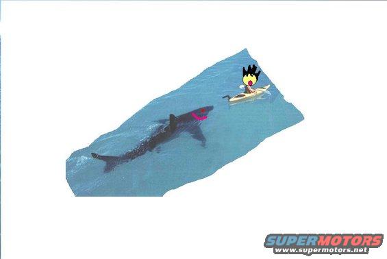 paddlefaster.jpg 