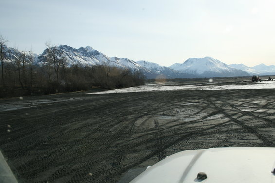 2008-c-mar-29_11.jpg 