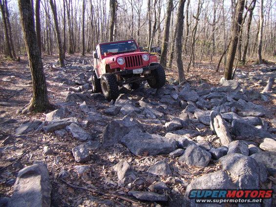 Red Jeep Wrangler navigating a rocky trail in a wooded area