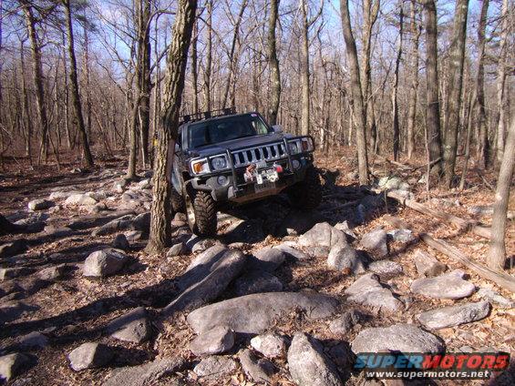 Hummer H3 navigating a rocky forest trail