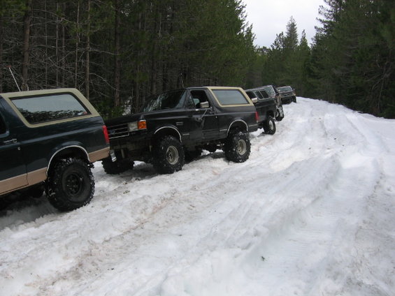 Several lifted Ford Bronco SUVs driving in a line on a snow-covered road through a forest. The lead Bronco is black with a tan top