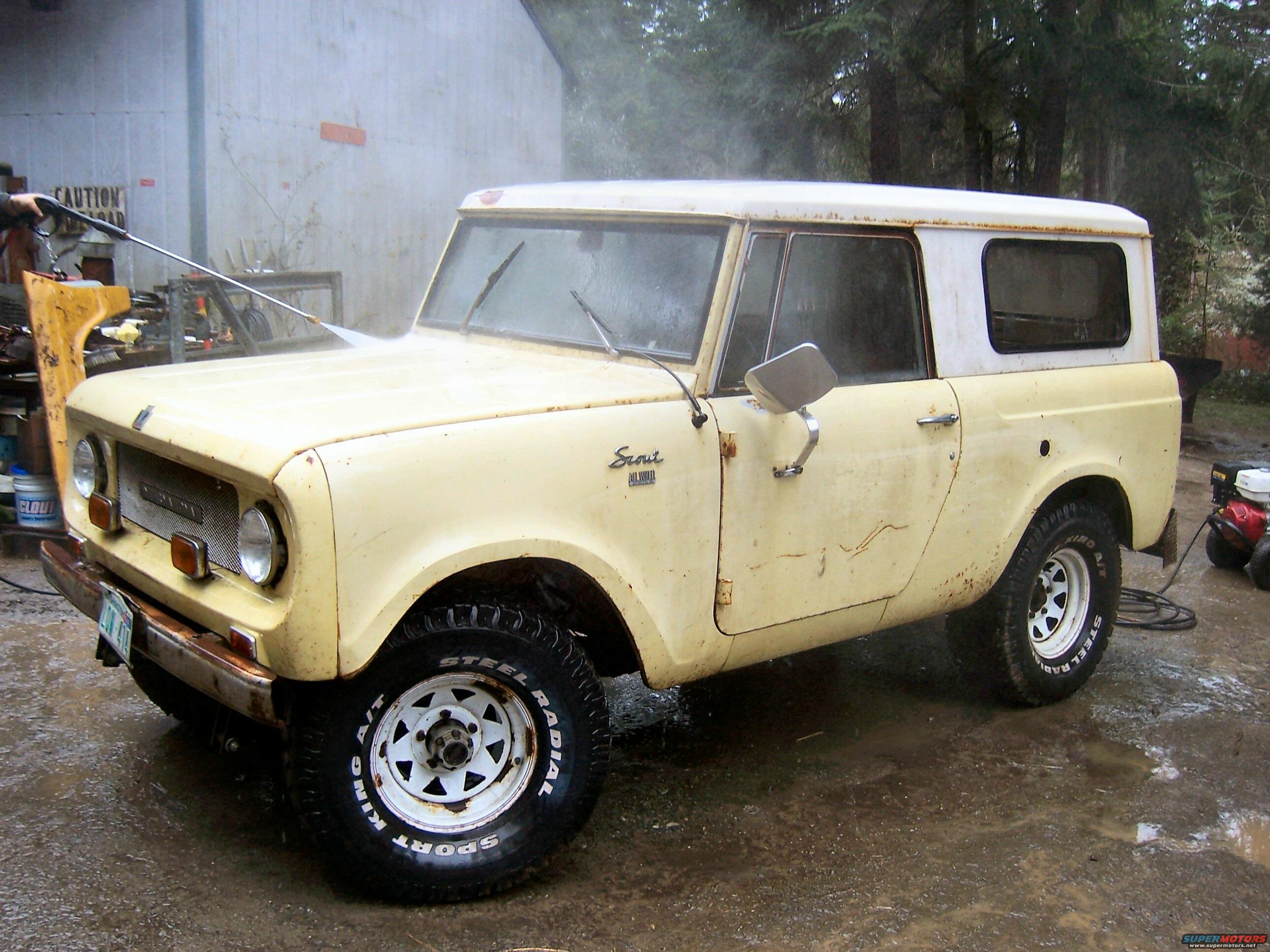 International Scout