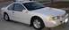 1994 Ford Thunderbird - White 1994 Ford Thunderbird coupe parked on a driveway, showing its front 3/4 view.