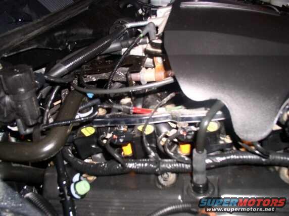 Close-up of a complex engine bay wiring harness with various connectors and tubes