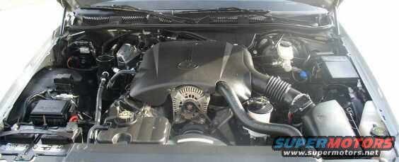 Engine bay of a 2000 Ford Crown Victoria, showing the V8 engine and components