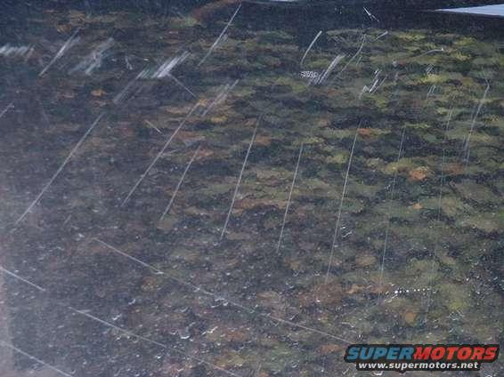 Scratched glass reflecting green and brown foliage, with water droplets