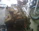 1999 Ford Mustang - Engine assembly with visible wiring and chains, situated on a concrete floor.