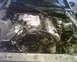 1999 Ford Mustang - The engine bay of a vehicle is shown with various mechanical parts and wiring visible.