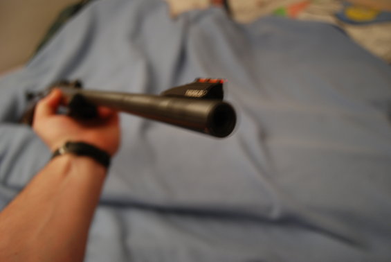 Hand holding a gun barrel with orange sights